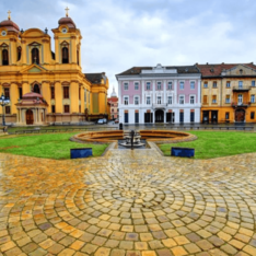 Timiș